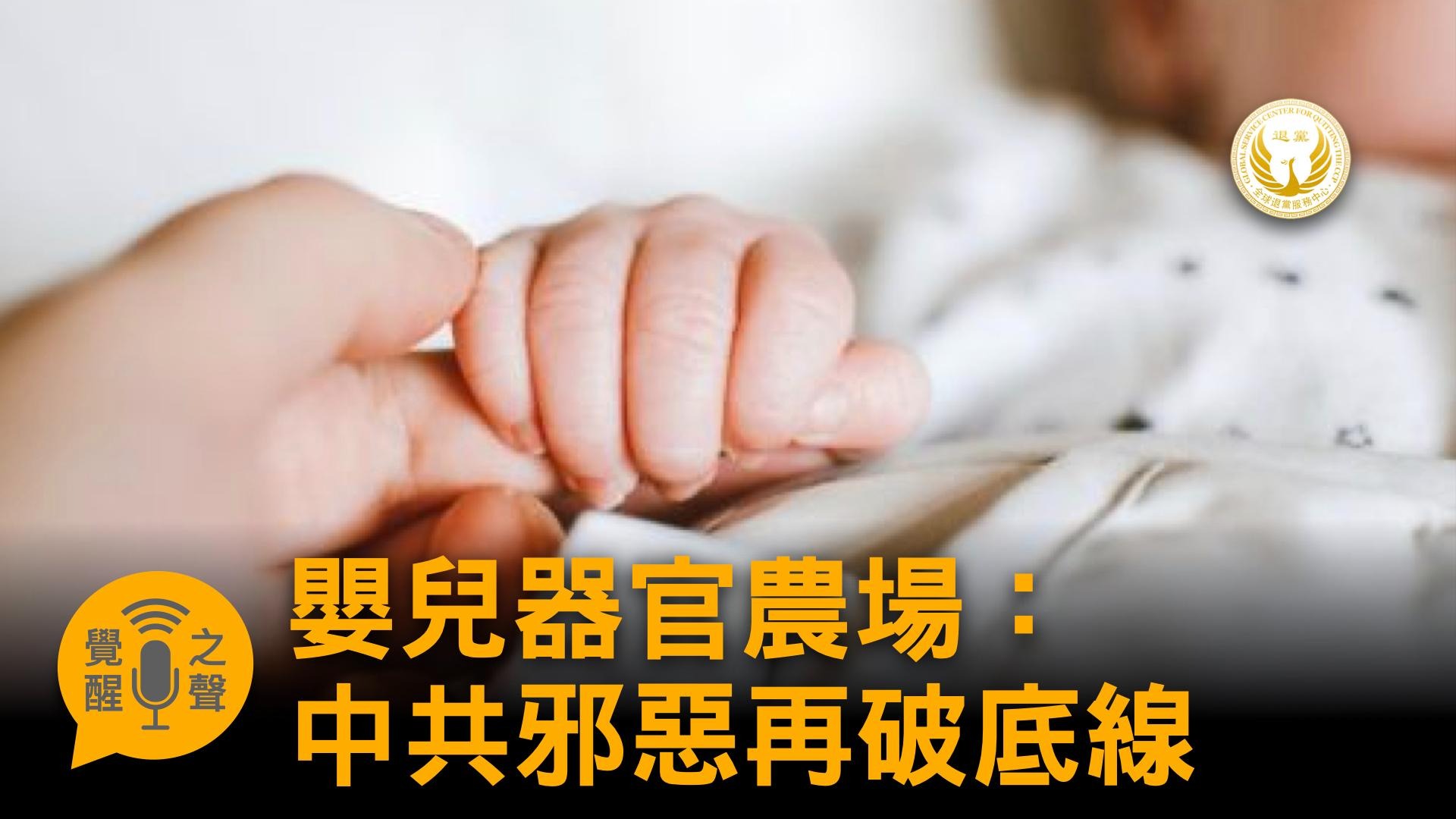 【觉醒之声】婴儿器官农场：中共邪恶再破底线